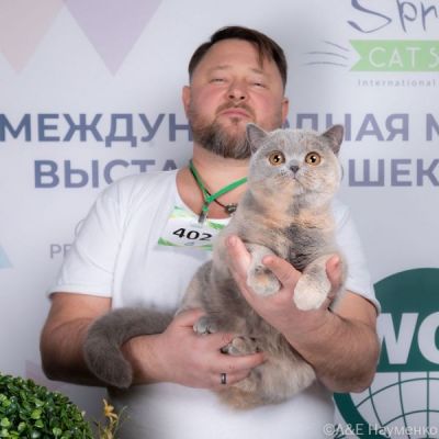 Победа молодой черепаховой девочки на КЛК РосКош 2-3 марта 2024